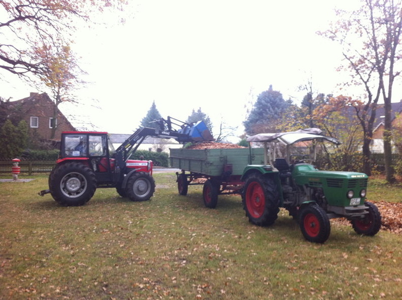 2011 11 19 Laubharkaktion und Erbseneintopf beim Backhaus 014